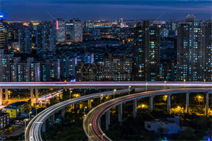 上海的野生动物之旅：松亚的探险